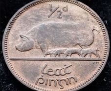 [#588] - Ireland 1928 | Irish 1/2d | Irish Half Penny | Sow | KM.2 | UNC