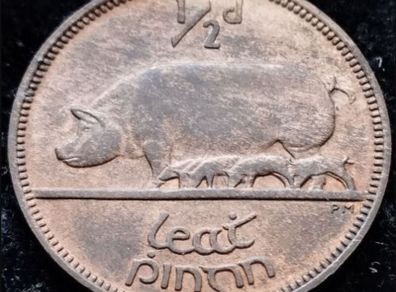 [#588] - Ireland 1928 | Irish 1/2d | Irish Half Penny | Sow | KM.2 | UNC