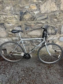 Raleigh Pioneer Bike Large