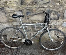 Raleigh Pioneer Bike Large