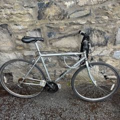 Raleigh Pioneer Bike Large