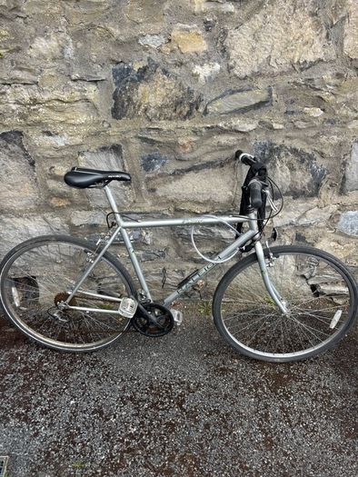 Raleigh Pioneer Bike Large