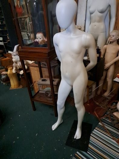 Teenage Mannequin