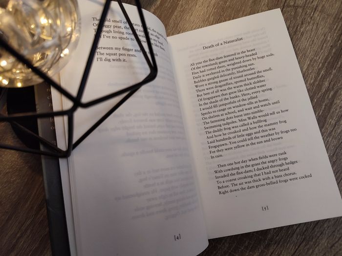 100 Poems ! by Seamus Heaney ! 2020 ! by Faber & Faber !