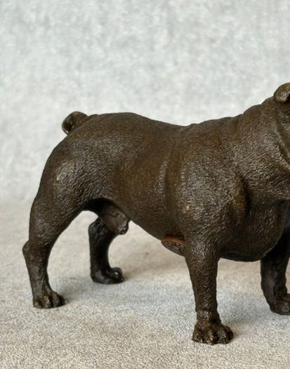 Bulldog - Cold Painted Bronze, Signed
