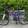 Women's Bike Image 6