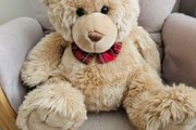 Plush Teddy
