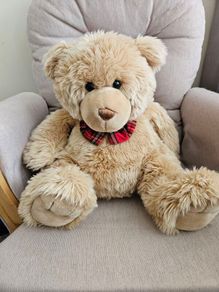 Plush Teddy