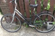 Ladies bike