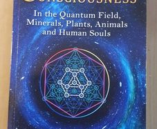 Physics of Consciousness.  Brand New