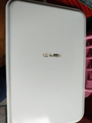 Large Tray