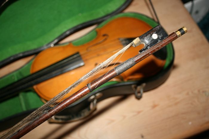 Vintage Parrot Violin And Bow With Wooden Case. Size 1,4 (Article No.Parrot Mus-1417)