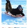 christmas sleigh Image 10
