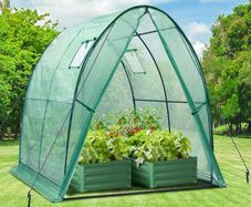 SPRING SALE | Portable Tunnel Greenhouse Outdoor: Heavy Duty Walk in Green House with Mesh Windows Durable Plastic PE Cover for Outside, 1.8x1.8x2m