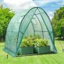NEW SALE | Portable Tunnel Greenhouse Outdoor: Heavy Duty Walk in Green House with Mesh Windows Durable Plastic PE Cover for Outside, 1.8x1.8x2m, White Image 2