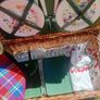 picnic Image 3