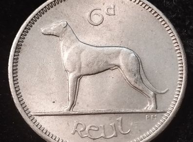 Ireland - 1959 - 6 Pence - AU - KM.12a - [2417]