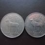 Irish One Pounds at your choice in the range (1990-2000) Image 5