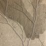 wallpaper selection. Image 8