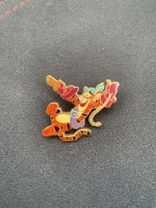 Disneyland Pin