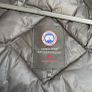 canada goose hybridge Image 3