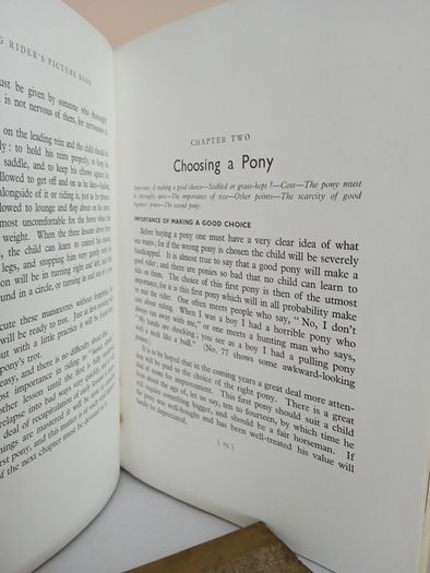 The Young Rider Picture Book by Golden Gorse (PT260)