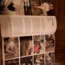 James Bond 007 In Focus 1964 Large Colour 64 Page Paper Back Book In Very Good Condition Image 2