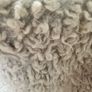 Faux Sheepskin Rug 50x72 inches Freshly Washed & Vacuumed Image 3