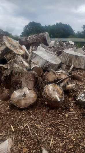 Firewood  For Sale