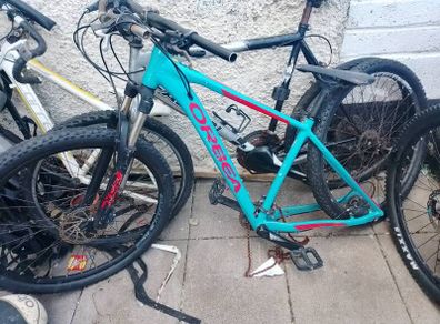 bikes