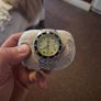 Tag Heuer Image 2