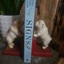 Vintage Cast Iron Bulldog Bookends Image 2