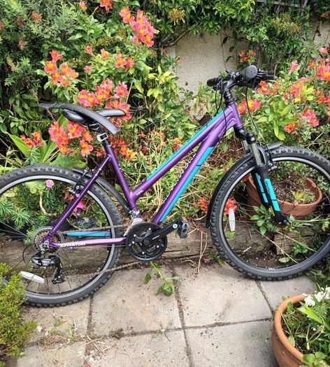 Adventure Trail Mountain bike