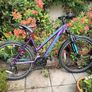 Adventure Trail Mountain bike Image 2