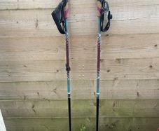 Trekking poles