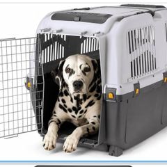 Skudo 6 dog travel crate in excellent condition