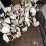 antique chandelier Image 8