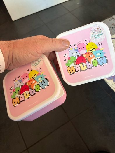 Two set of kids squishmallow lunch boxes