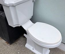 Toilet free to collect