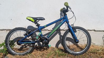 Carrera Cosmos