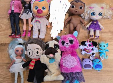 A set of toys for a girl.
