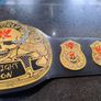 Official WWE / WWF Figs 2007 Stoke Cold Steve Austin Smoking Skull Replica Title Belt Image 6
