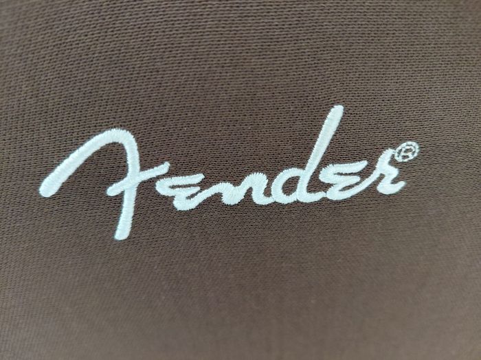 Fender Acoustic200 amp