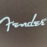 Fender Acoustic200 amp Image 3