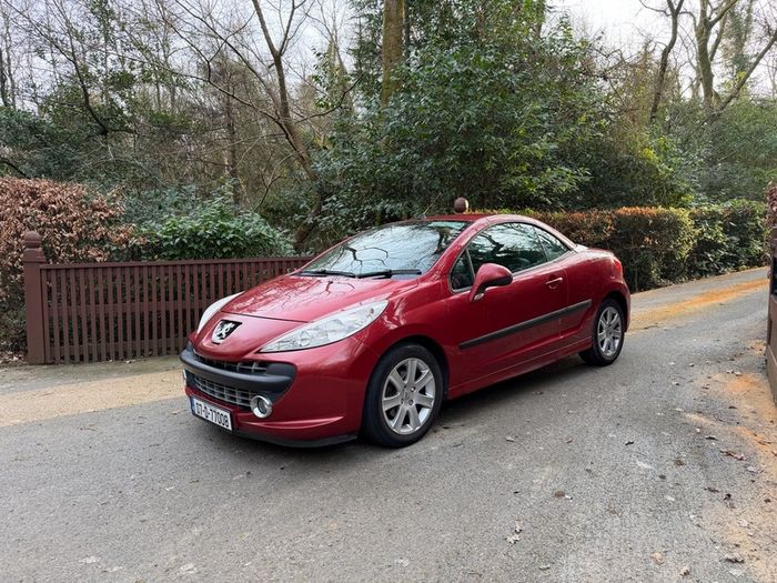 2007 Peugeot 207