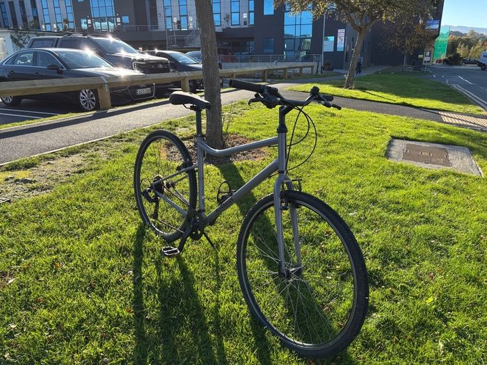 Hybrid bike