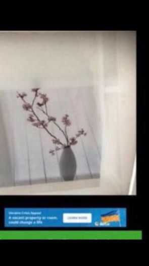 Framed Floral Prints