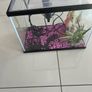 fish tank Image 2