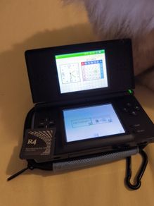 Nintendo DS