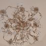 Chandelier Image 3